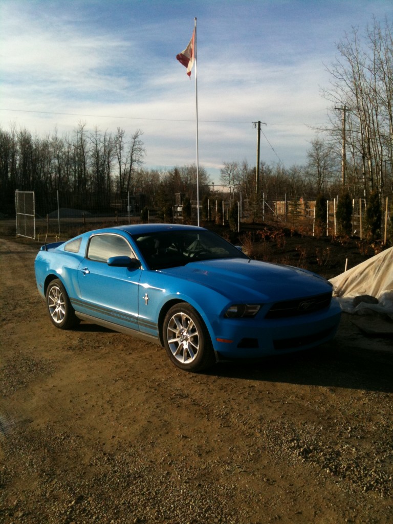 One more mustang picture for old times