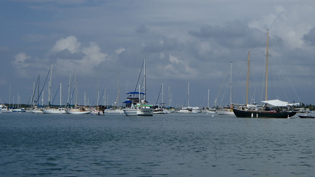 The view out into the mooring field of Marathon