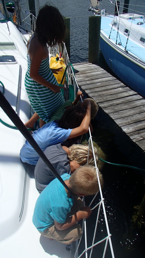 The kids standing at the bow of the boat watching the water for the manatees.