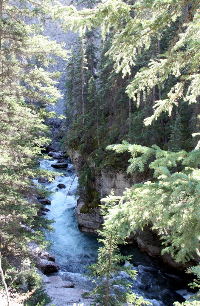 Near the bottom of the Maligne Canyon.