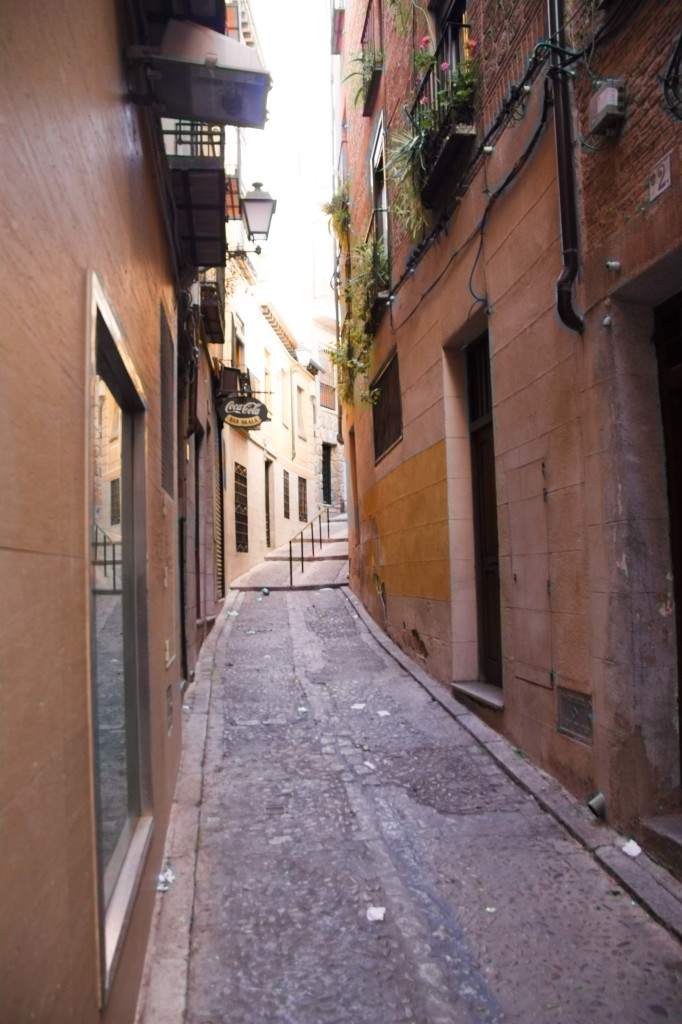 One of the wider streets in Toledo.  Most were steeper and narrower and rarely had a handrail.