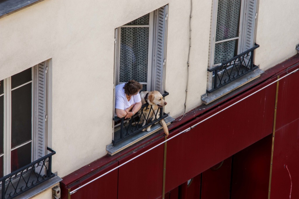 Getting some fresh air? Parisian dog walking? They were "hanging out" across the street from us.