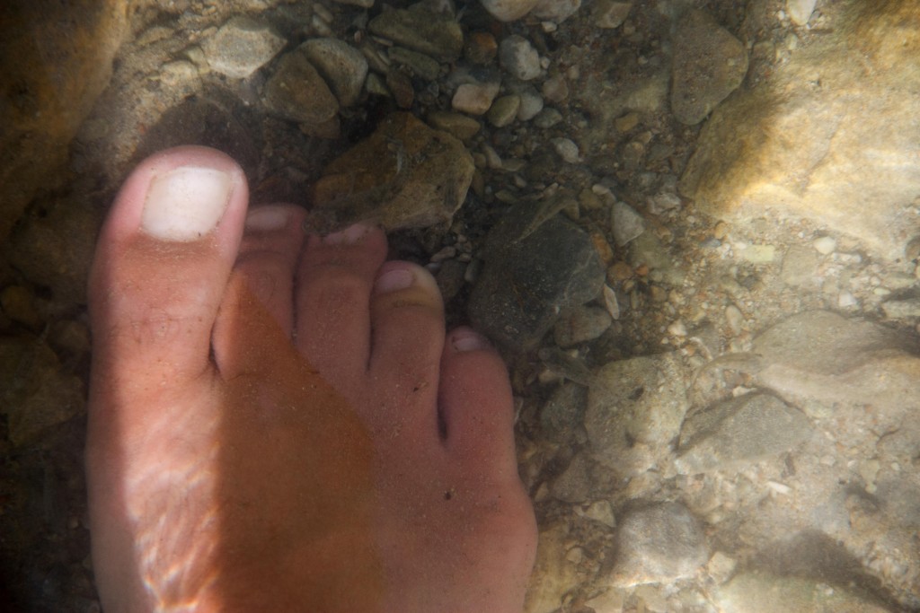 Our own free spa experience...nibbler fish for your feet at Bimmah Sinkhole.